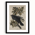 Grunge Wall Art - Vintage Raven Print on Stretched Canvas or Acrylic Glass