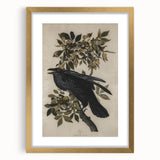 Grunge Wall Art - Vintage Raven Print on Stretched Canvas or Acrylic Glass