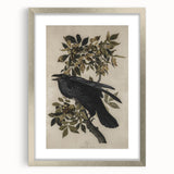 Grunge Wall Art - Vintage Raven Print on Stretched Canvas or Acrylic Glass