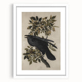 Grunge Wall Art - Vintage Raven Print on Stretched Canvas or Acrylic Glass