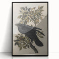 Grunge Wall Art - Vintage Raven Print on Stretched Canvas or Acrylic Glass