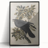 Grunge Wall Art - Vintage Raven Print on Stretched Canvas or Acrylic Glass