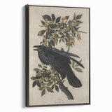 Grunge Wall Art - Vintage Raven Print on Stretched Canvas or Acrylic Glass