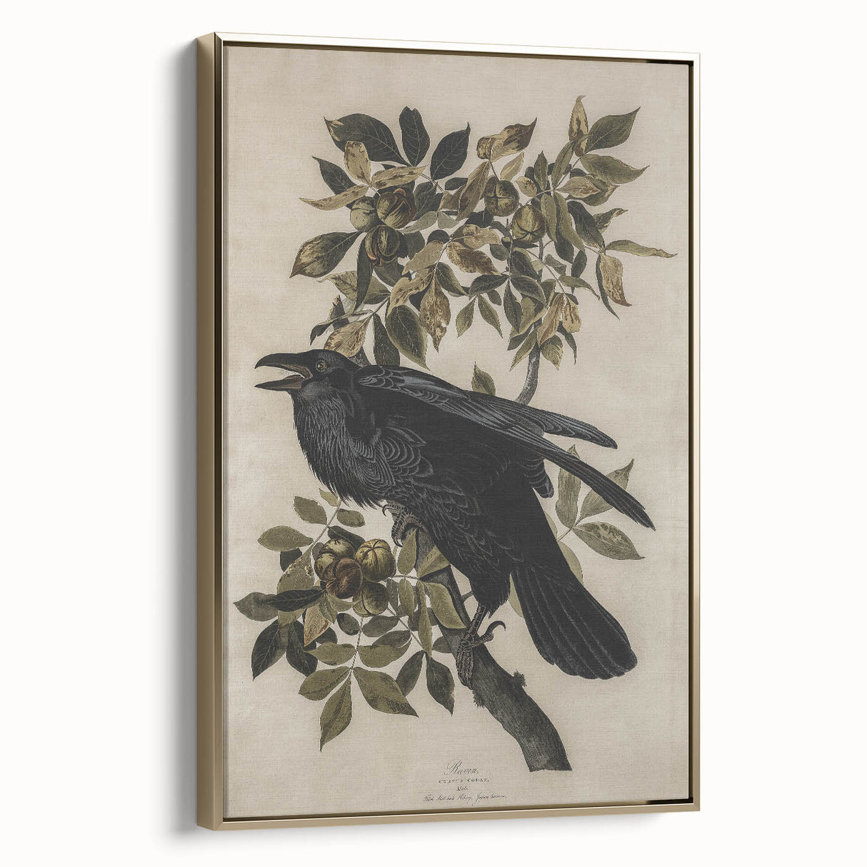 Grunge Wall Art - Vintage Raven Print on Stretched Canvas or Acrylic Glass
