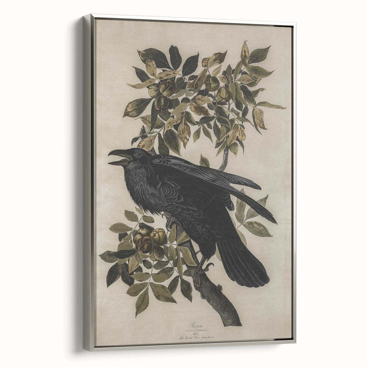 Grunge Wall Art - Vintage Raven Print on Stretched Canvas or Acrylic Glass