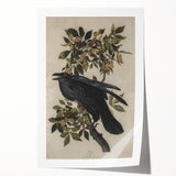 Grunge Wall Art - Vintage Raven Print on Stretched Canvas or Acrylic Glass