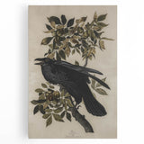 Grunge Wall Art - Vintage Raven Print on Stretched Canvas or Acrylic Glass