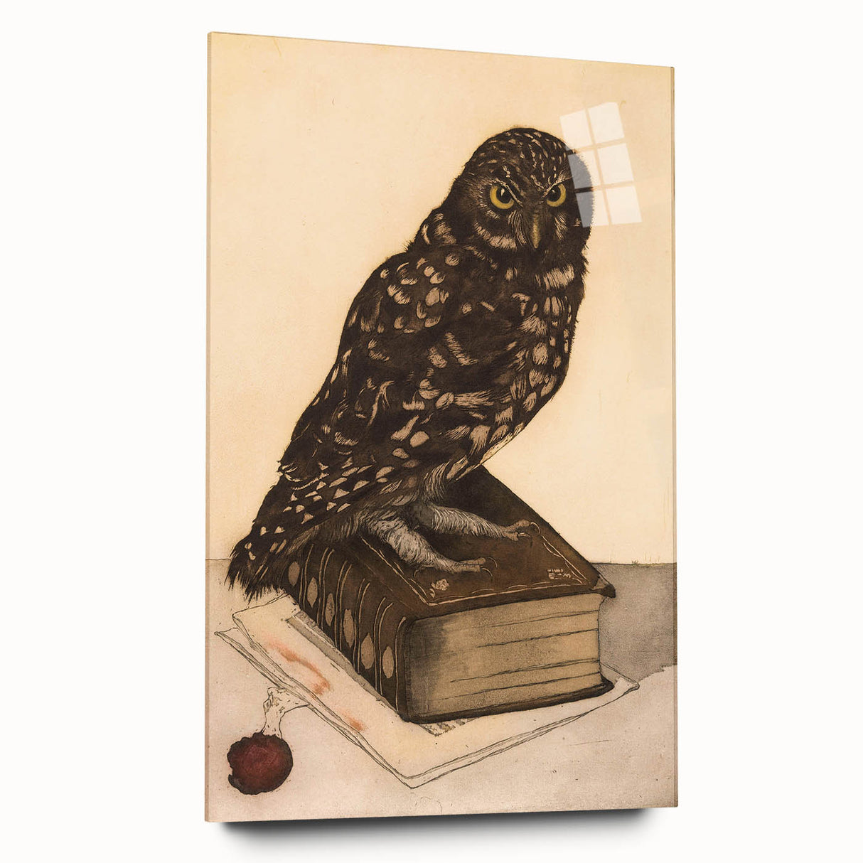 Vintage Grunge Art - Owl Canvas Print for Modern Grunge Aesthetic