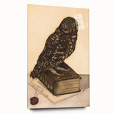 Vintage Grunge Art - Owl Canvas Print for Modern Grunge Aesthetic