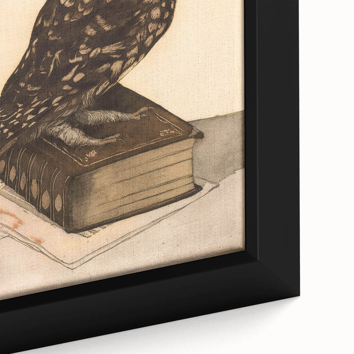 Vintage Grunge Art - Owl Canvas Print for Modern Grunge Aesthetic