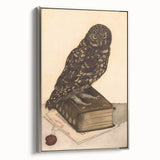 Vintage Grunge Art - Owl Canvas Print for Modern Grunge Aesthetic