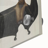 Urban Grunge Bat Illustration - Vintage Grunge Canvas Print Art