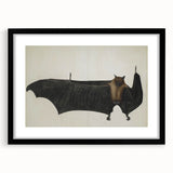 Urban Grunge Bat Illustration - Vintage Grunge Canvas Print Art