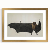 Urban Grunge Bat Illustration - Vintage Grunge Canvas Print Art