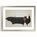 Urban Grunge Bat Illustration - Vintage Grunge Canvas Print Art