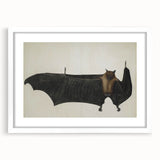 Urban Grunge Bat Illustration - Vintage Grunge Canvas Print Art