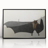Urban Grunge Bat Illustration - Vintage Grunge Canvas Print Art