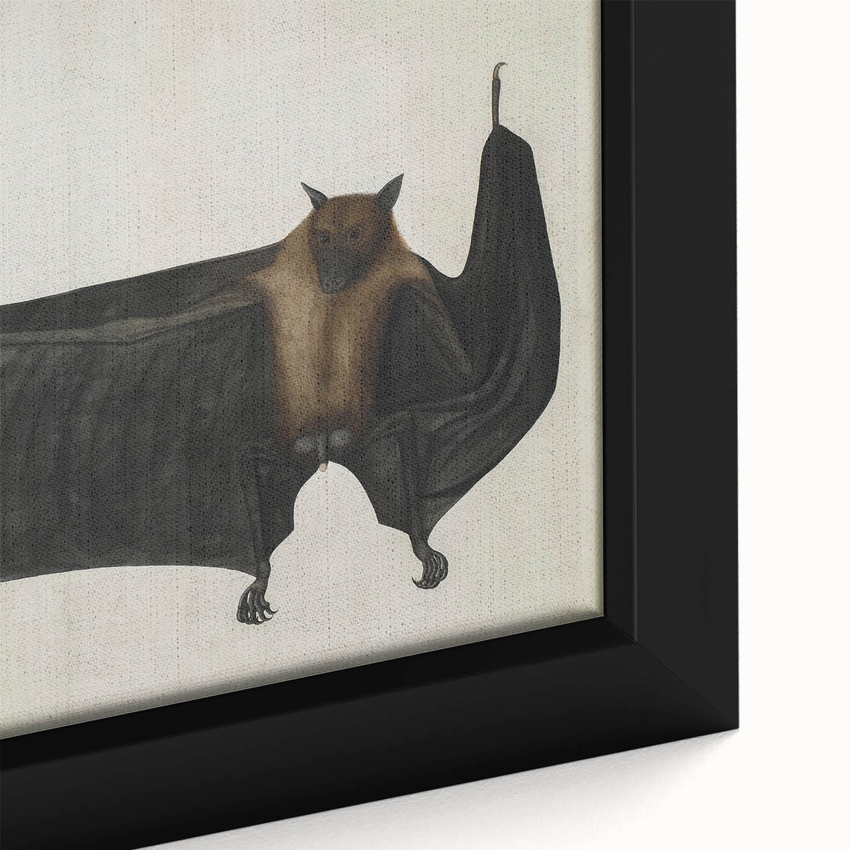 Urban Grunge Bat Illustration - Vintage Grunge Canvas Print Art