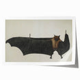 Urban Grunge Bat Illustration - Vintage Grunge Canvas Print Art