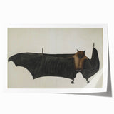 Urban Grunge Bat Illustration - Vintage Grunge Canvas Print Art