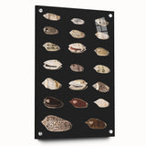 Vintage Grunge Art | Grunge Canvas Print | Urban Grunge Shell Art