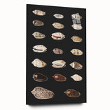 Vintage Grunge Art | Grunge Canvas Print | Urban Grunge Shell Art