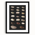 Vintage Grunge Art | Grunge Canvas Print | Urban Grunge Shell Art