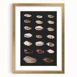 Vintage Grunge Art | Grunge Canvas Print | Urban Grunge Shell Art