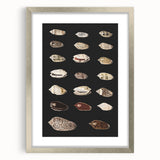 Vintage Grunge Art | Grunge Canvas Print | Urban Grunge Shell Art