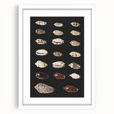 Vintage Grunge Art | Grunge Canvas Print | Urban Grunge Shell Art