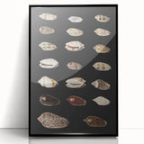 Vintage Grunge Art | Grunge Canvas Print | Urban Grunge Shell Art