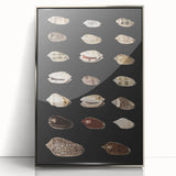 Vintage Grunge Art | Grunge Canvas Print | Urban Grunge Shell Art