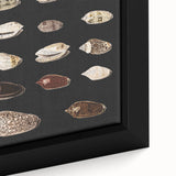 Vintage Grunge Art | Grunge Canvas Print | Urban Grunge Shell Art