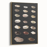 Vintage Grunge Art | Grunge Canvas Print | Urban Grunge Shell Art