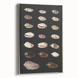 Vintage Grunge Art | Grunge Canvas Print | Urban Grunge Shell Art