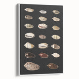 Vintage Grunge Art | Grunge Canvas Print | Urban Grunge Shell Art