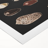 Vintage Grunge Art | Grunge Canvas Print | Urban Grunge Shell Art