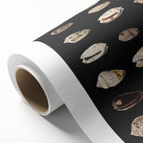 Vintage Grunge Art | Grunge Canvas Print | Urban Grunge Shell Art