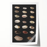 Vintage Grunge Art | Grunge Canvas Print | Urban Grunge Shell Art