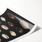 Vintage Grunge Art | Grunge Canvas Print | Urban Grunge Shell Art