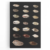 Vintage Grunge Art | Grunge Canvas Print | Urban Grunge Shell Art