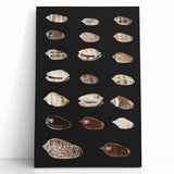 Vintage Grunge Art | Grunge Canvas Print | Urban Grunge Shell Art