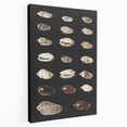 Vintage Grunge Art | Grunge Canvas Print | Urban Grunge Shell Art