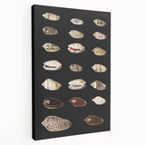 Vintage Grunge Art | Grunge Canvas Print | Urban Grunge Shell Art