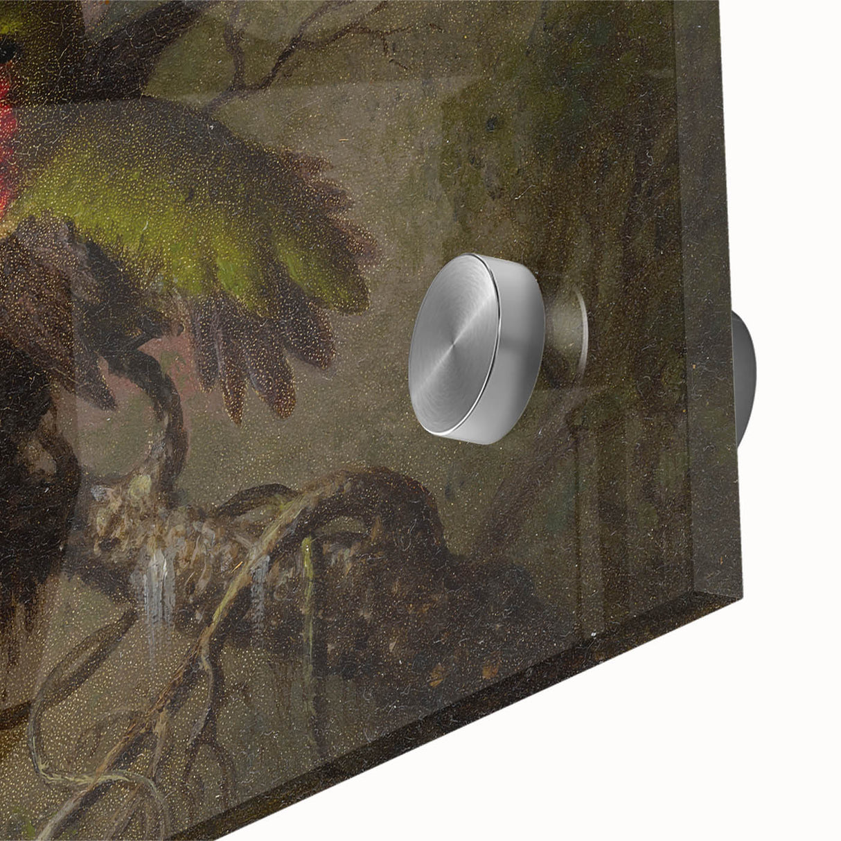 Vintage Grunge Hummingbirds - Urban Distressed Canvas Print Art