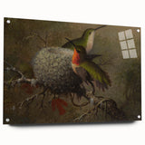Vintage Grunge Hummingbirds - Urban Distressed Canvas Print Art