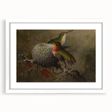 Vintage Grunge Hummingbirds - Urban Distressed Canvas Print Art