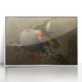 Vintage Grunge Hummingbirds - Urban Distressed Canvas Print Art