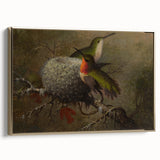 Vintage Grunge Hummingbirds - Urban Distressed Canvas Print Art