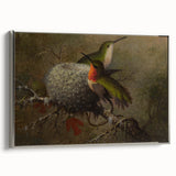 Vintage Grunge Hummingbirds - Urban Distressed Canvas Print Art